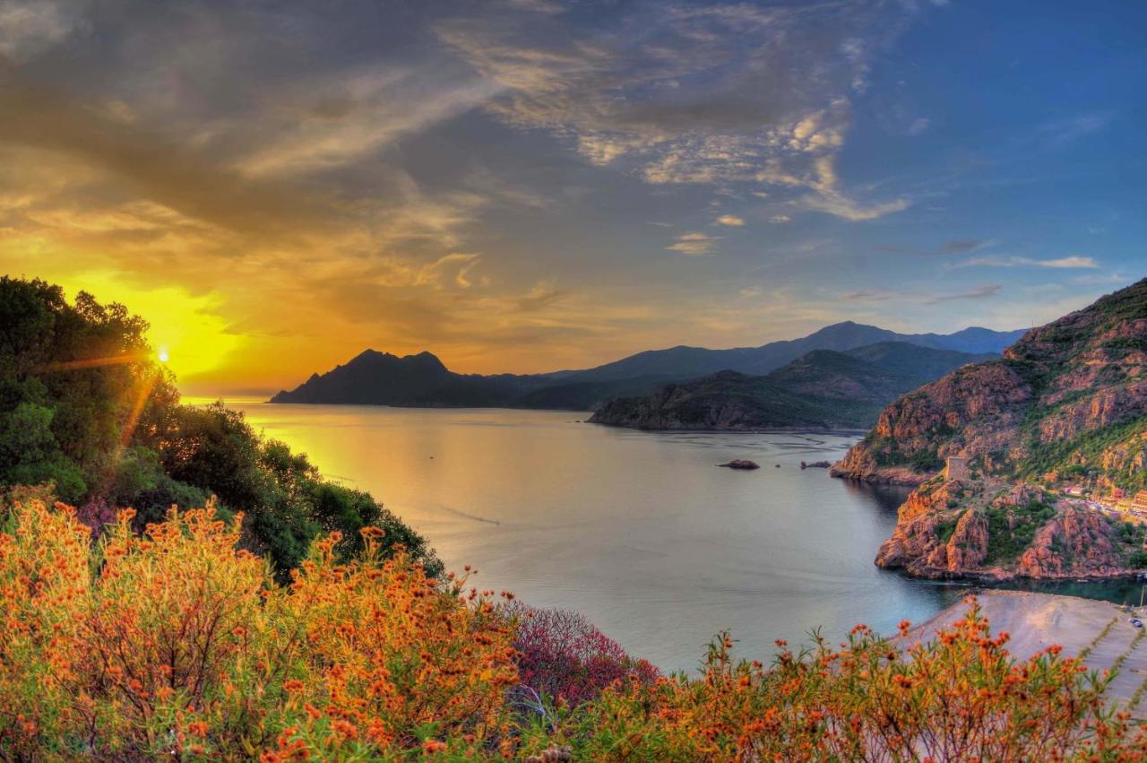 Hotel Le Golfe Ecolabel Eu Porto  Dış mekan fotoğraf
